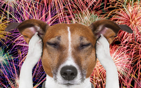 Prato vieta i botti per le festività natalizie: un’ordinanza per la sicurezza