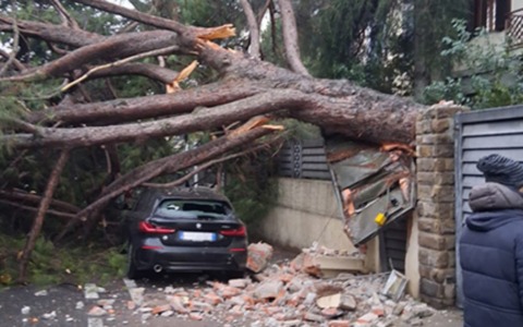 Il Comune di Prato intensifica i controlli sugli alberi dopo un incidente