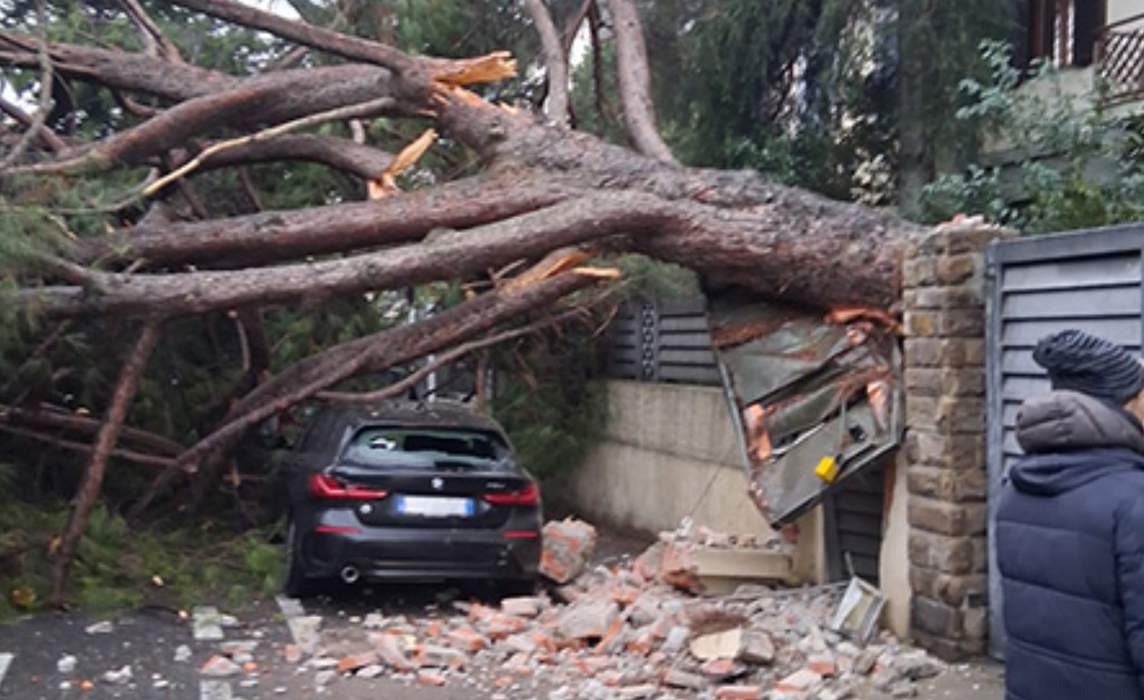 Il Comune di Prato intensifica i controlli sugli alberi dopo un incidente