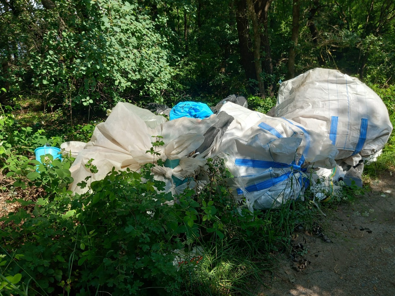 Situazione ambientale critica a Carmignano: il comitato “No Taric” denuncia l’abbandono di rifiuti